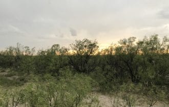 40 Acres in Pecos County, TX