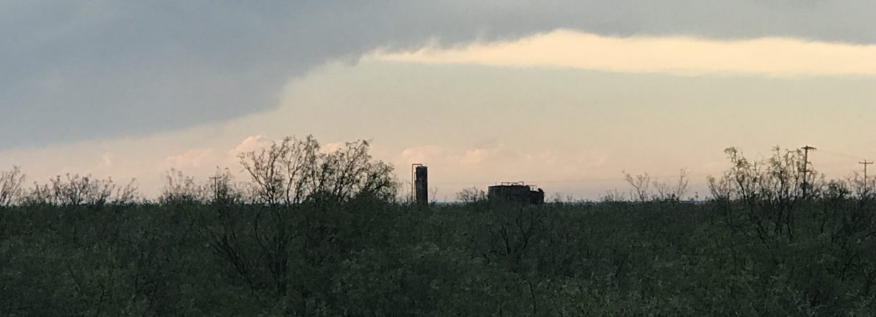 40 Acres in Pecos County, TX