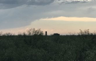 40 Acres in Pecos County, TX