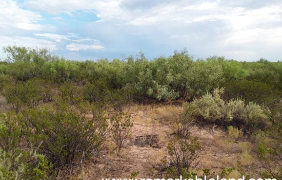 SOLD: 10 Acre Tract on Border Road in Pecos County