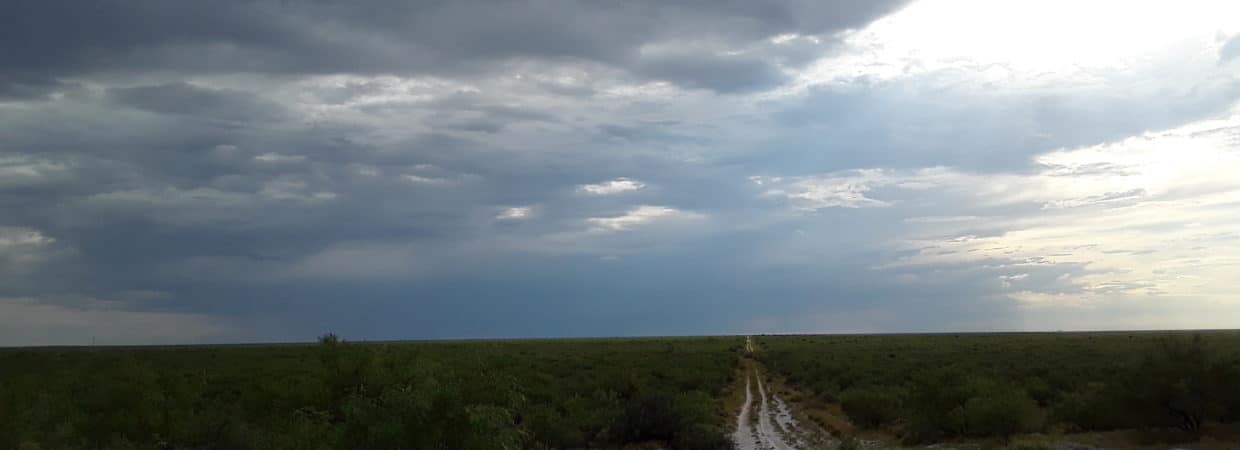Pecos County, TX