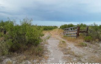 Pecos County, TX
