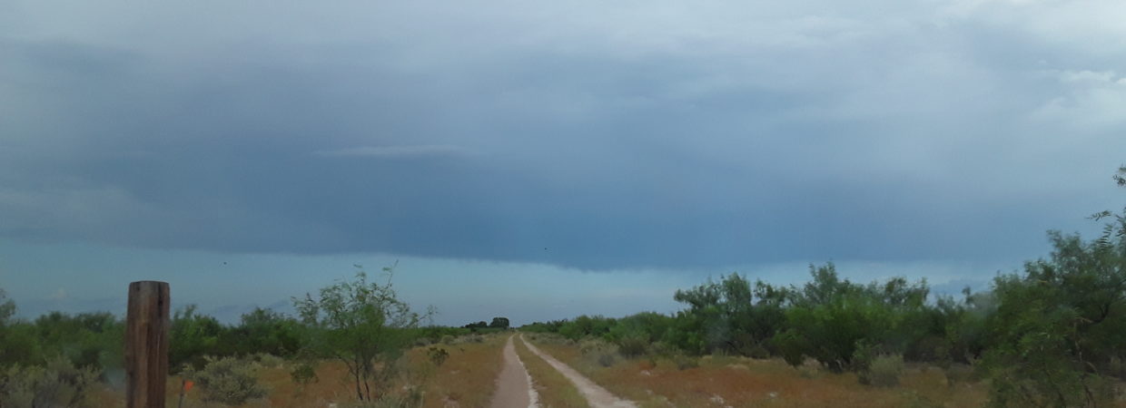 Pecos County, TX