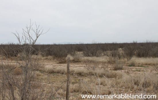 SOLD: Sought-After 20.359 Acre Gem in West Texas