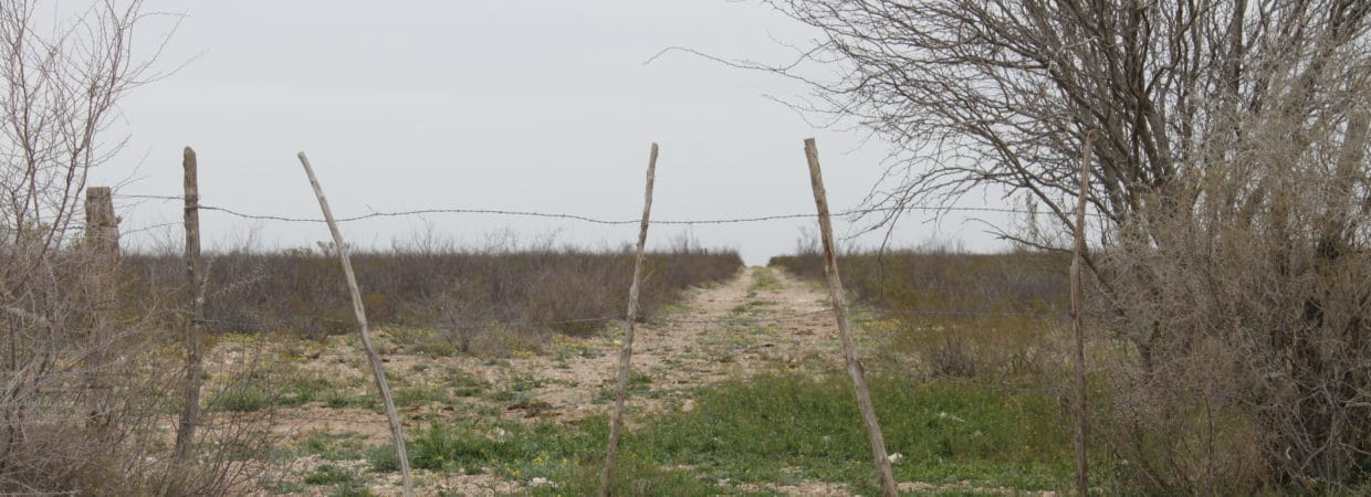 Pecos County, TX