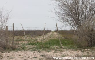 Pecos County, TX