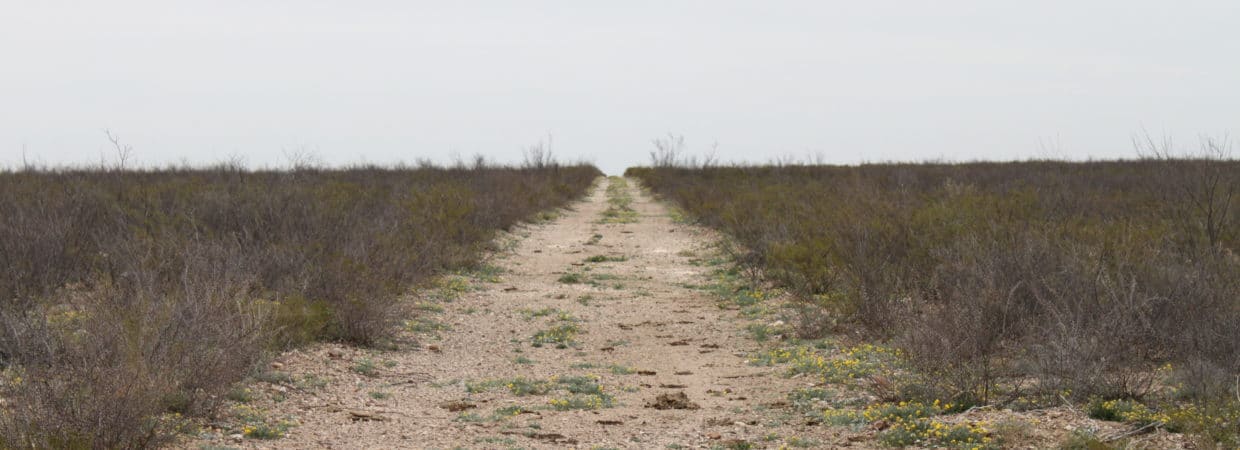 Pecos County, TX