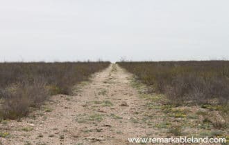 Pecos County, TX