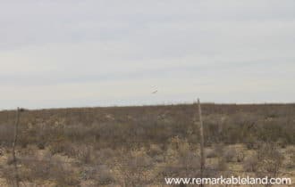 Pecos County, TX