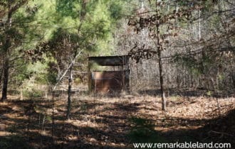 26 28 Acre East Texas Timber Tract B Remarkable Land Llc