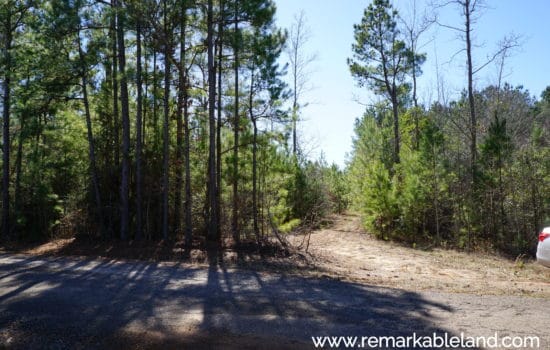 SOLD:  26.28 Acre East Texas Timber Tract