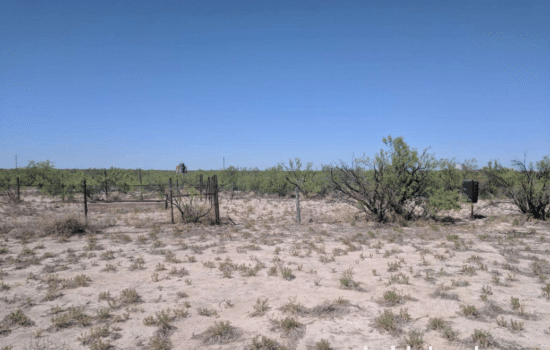 SOLD: 160 Acre Hunting Camp near Imperial, TX🏕️ 📹