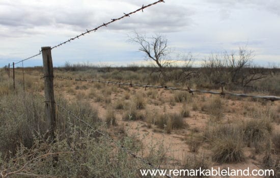 SOLD: Bargain-Hunters: 5.23 Acres only $2,499!