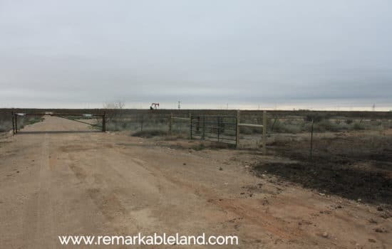 SOLD: 5 Acre Island 🏝️ on the Pecos River