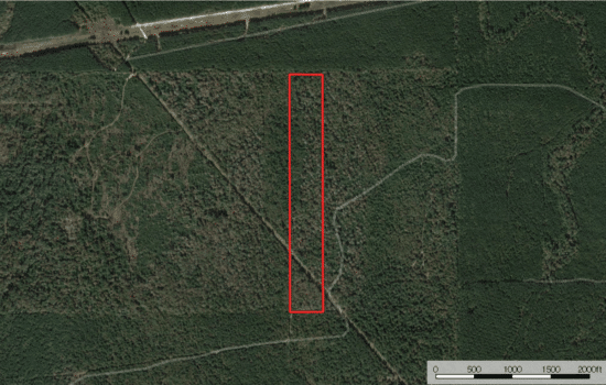 SOLD: 22.84 Acres for Your Cabin in the Piney Woods