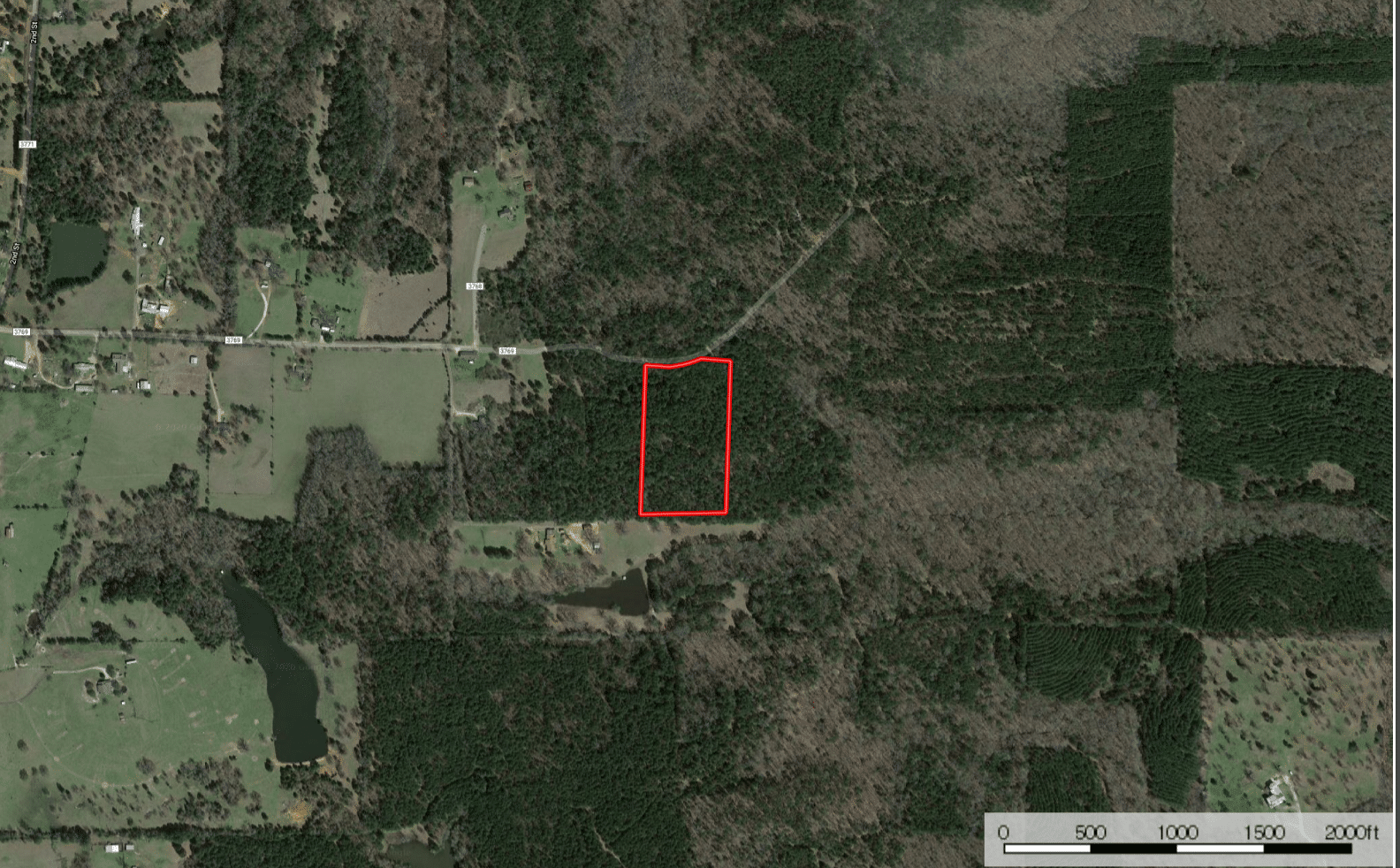 Six Acres of Piney Woods for Your Texas Homestead Remarkable Land®
