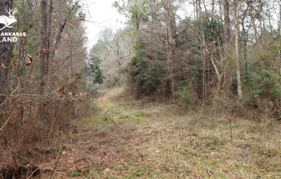 SOLD: Piney Woods Homesite! 0.36 Acres for Your Private Getaway