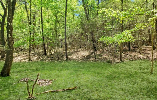 SOLD: 9 Acres Deep in the Piney Woods