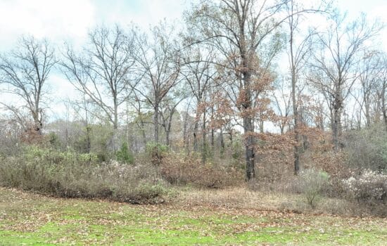 SOLD: Wooded Land – 5.456 Acres Near Mount Pleasant, TX