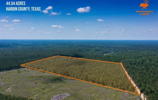 SOLD: 44.53 Acre Timber Property Near Kountze, TX