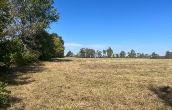 Easy Commute! 29.01 Acres in Perfect Location
