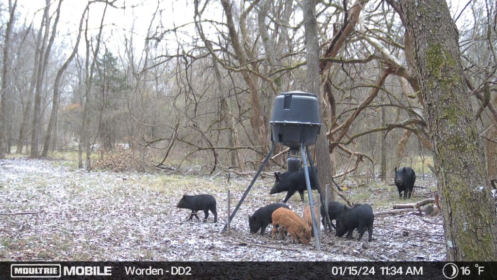 TX Hunt Worden image638409715150970815
