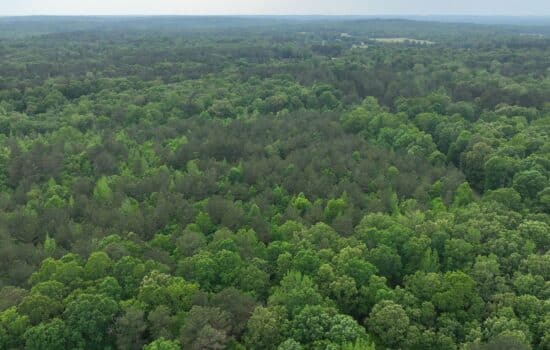 SOLD: 5.72-Acre Mountain Hideaway Near Shiloh