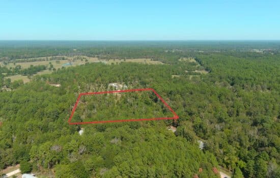 10.68 Acres of Tranquil Bliss: Your Gateway to Pleasant Hill, TX and Beyond