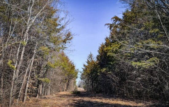 Enchanting Acreage Opportunity: 17.54 Acres of Untouched Beauty in Johnston County, OK