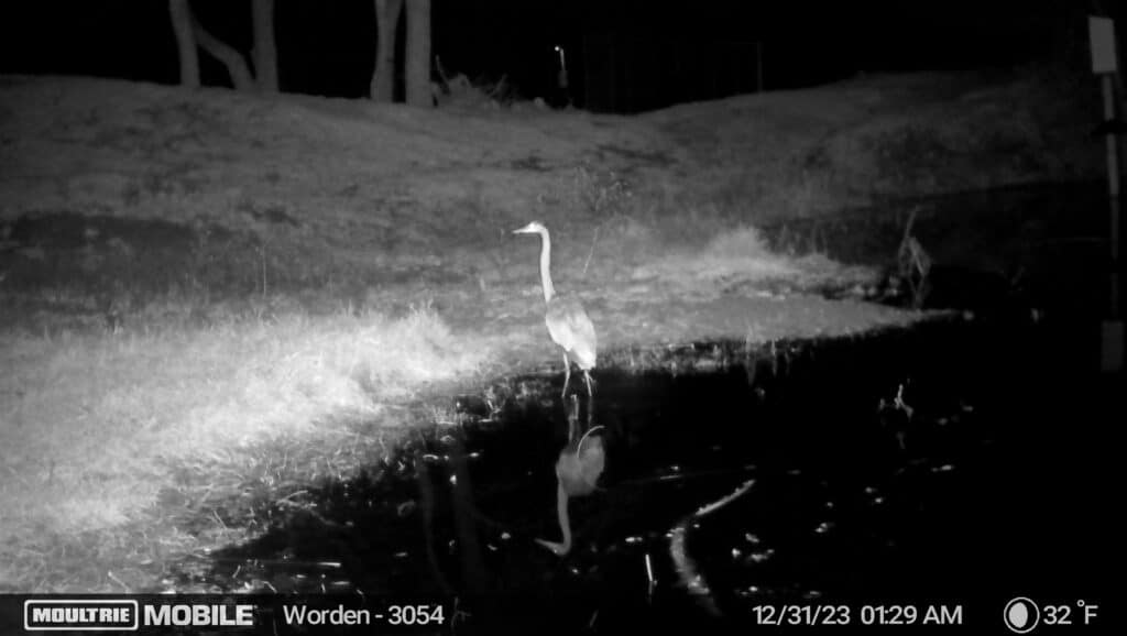 TX Hunt Worden image638398211150894851 2