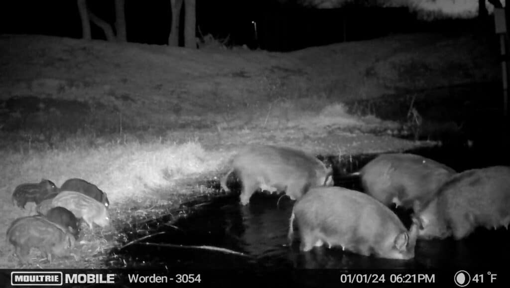 TX Hunt Worden image638398473192918859 2
