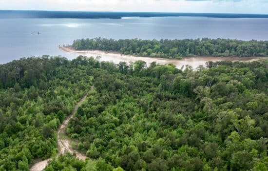 37.94 Waterfront Acres on Lake Sam Rayburn in Southern Nacogdoches County, TX