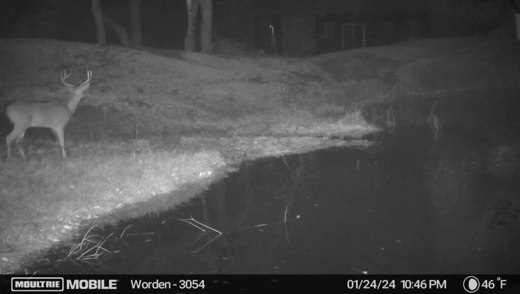 image638419479308486410