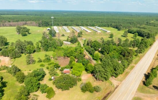 Spread Out in San Augustine County: Sprawling 1.32-Acre Lot for Your Dream Homestead