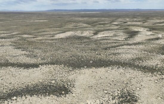 SOLD: 160 Acres Bordering BLM Land in Wamsutter, WY