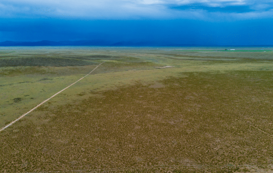SOLD:40 Acres Nestled in the Heart of Costilla County, CO