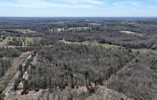 7 Acre Wooded Lot North of Mt Pleasant, TX
