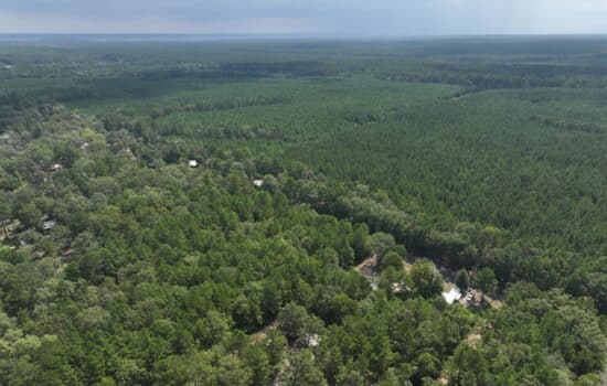 Peaceful 0.6-Acre Lot Near Lake Sam Rayburn – Angelina County, TX