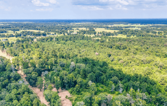 10 Acres – Unrestricted, Build-Ready Ranchette in Liberty County, TX