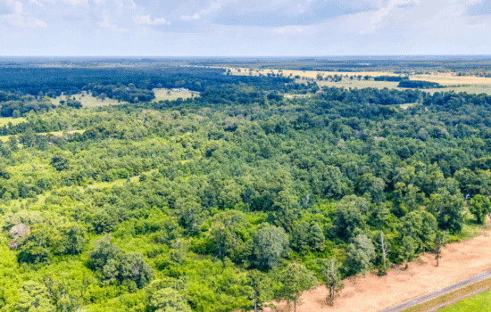 10 Acres – Unrestricted, Build-Ready Ranchette in Liberty County, TX