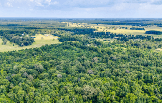 13.46 Acres – Unrestricted, Build-Ready Ranchette in Liberty County, TX