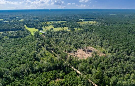Unrestricted 14 Acres Surrounded by Texas Forest