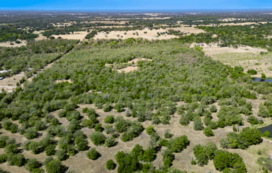 Unrestricted 11 Acres Near Lake Somerville in Burleson County, TX