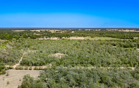 Unrestricted 11 Acres Near Lake Somerville in Burleson County, TX