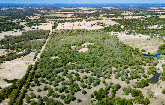 Unrestricted 11 Acres Near Lake Somerville in Burleson County, TX